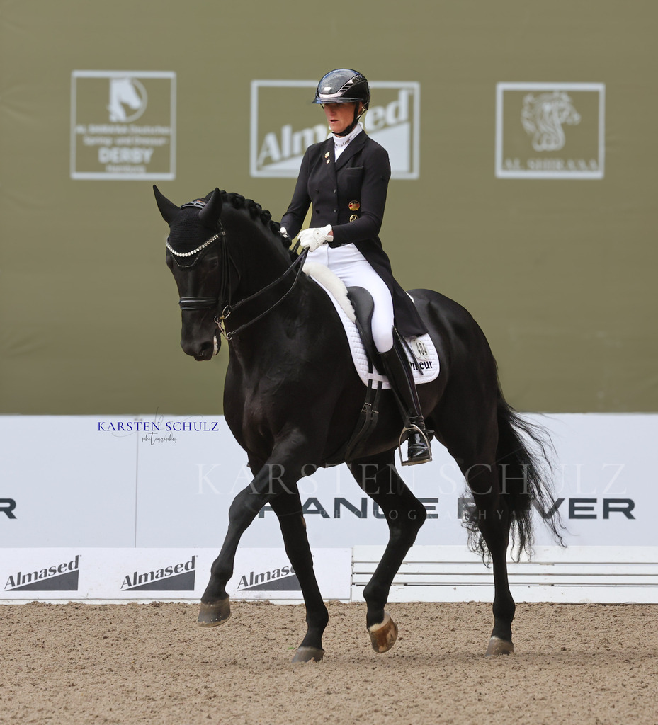 1B3A3861 | Reitsport Reiten
