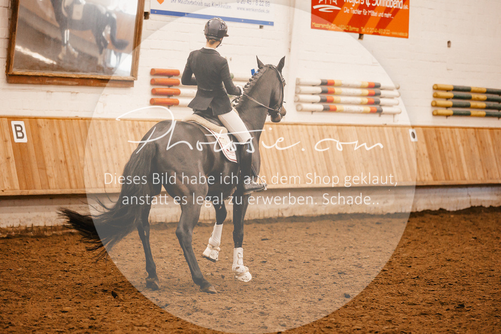 3I6A2151 | Stimmungsvolle Portraits und Reitsportfotografie im Ruhrgebiet und im Münsterland.

Pferdefotografie, Hundefotografie, Tierfotografie, Reportagen, Portraits von Tier und Mensch, Turnierfotografie in Bochum, Recklinghausen, Marl, Haltern am See, Dülmen.. - Realisiert mit Pictrs.com