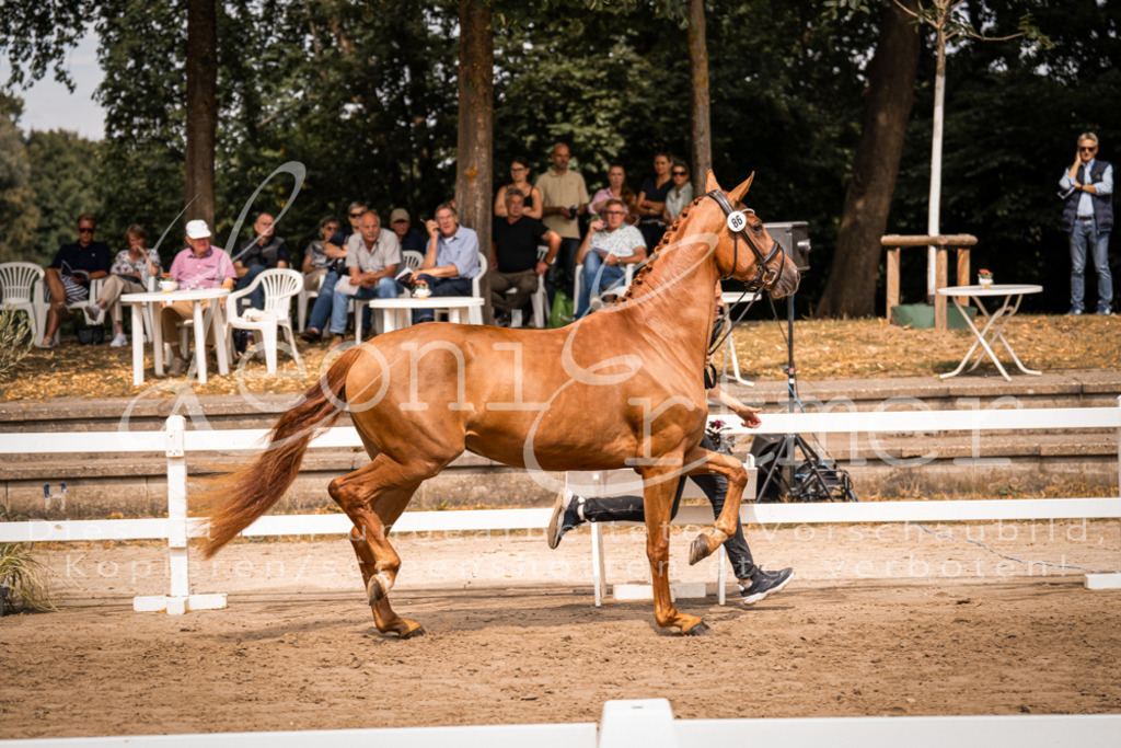 5.Fr00055 | Leoni Ertmer Photography - Realisiert mit Pictrs.com