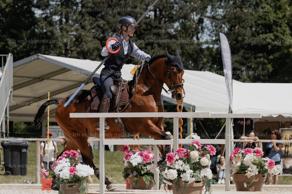 WE_SP_Stoib_343_PI2025_1787 | Pferd International München 2025