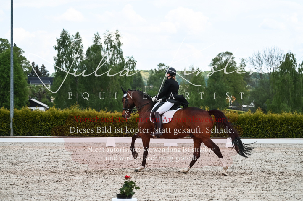 20230514_JK-Röhrsdorf-20-178 | Pferde- und Turnierfotografie in Westsachsen. Pferdeportraits, Auftragszeichnungen und intuitive Kunst.