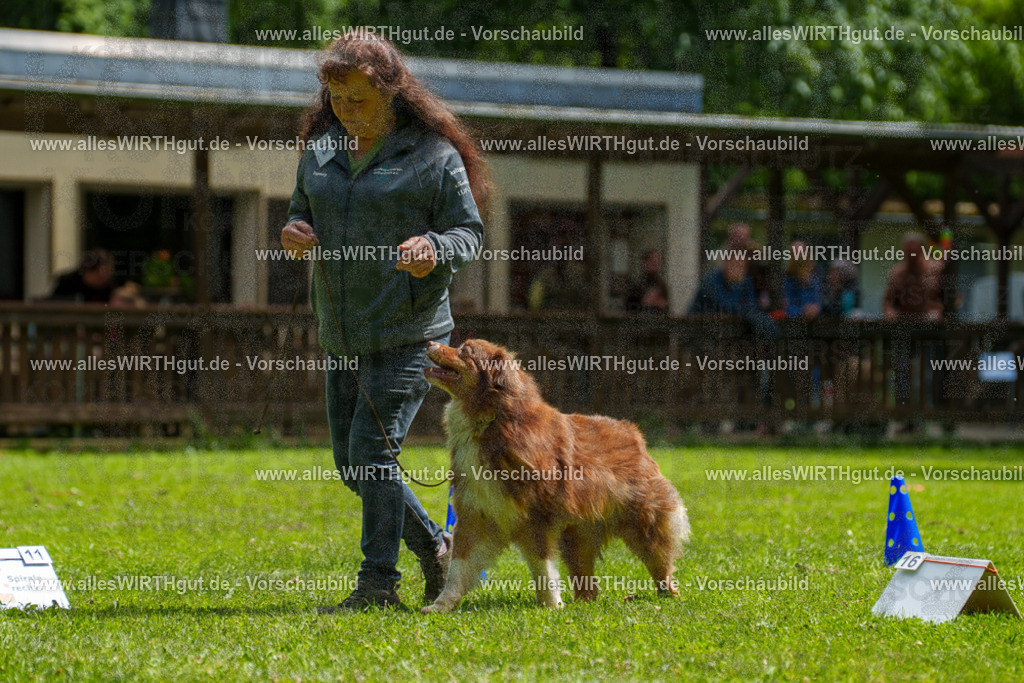 @allesWIRTHgut_Tierfotografie - www.allesWIRTHgut.de - 7R500832 | Professionelle Tierfotografie in Mönchengladbach von Daniel Wirth (allesWIRTHgut). Liebevolle & natürliche Bilder von Hunden & Katzen für unvergessliche Erinnerungen.