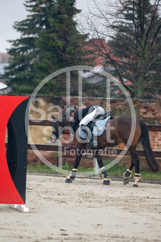 DSC_8480 | sattelsport - Realisiert mit Pictrs.com