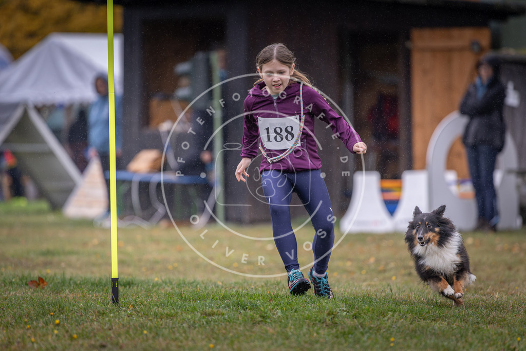 Pfotenfotografie_DV3A9844 | Hundefotografie, Tierfotograf, Pfotenfotografie, Fotoshooting Hund, Hunde Portrait, Hundesport, Hundeportraits, Heideshooting, Hunde, Sportfotograf, Hundefotograf, Turnierhundsport, THS,  - Realisiert mit Pictrs.com