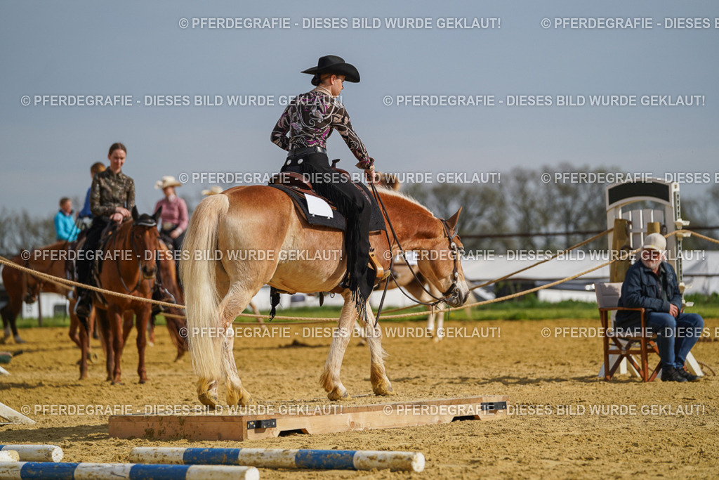 DSC01708 | Pferdegrafie