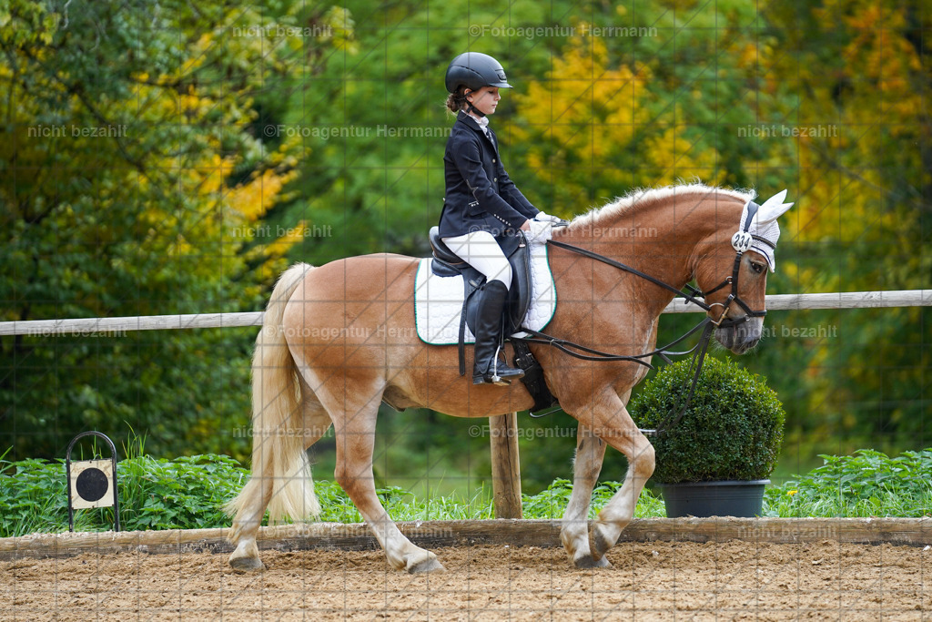 20221008-FAH01388 | Diessen am Ammersee, 2022, Dressur- und Springturnier, Reitsportbilder, Turnierfotografen Bayern, Pferdefotografen, Fotoagentur Herrmann, Turnierbilder