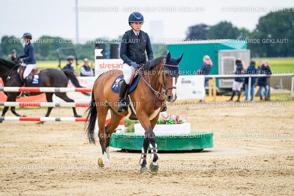 DSC06155 | Pferdegrafie