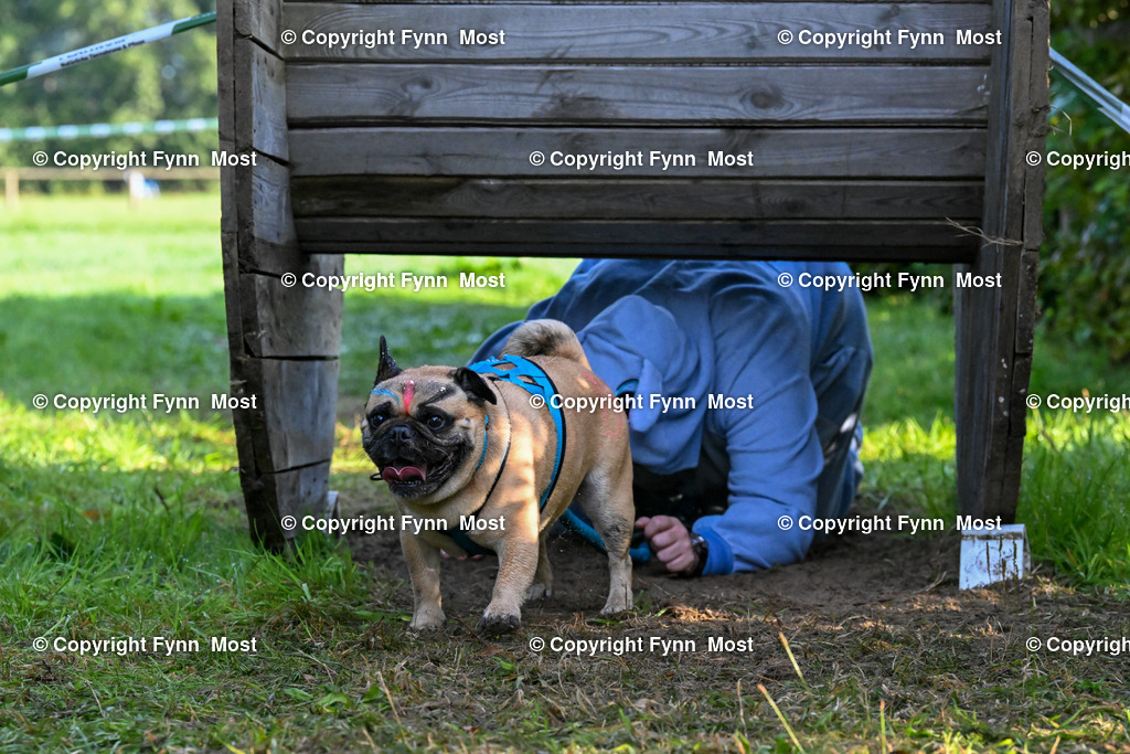 DSC_5201 | Hallo und herzlich Willkommen auf meiner Shop-Seite Fynn Most.

Ich wünsche Dir viel Spaß beim stöbern durch die Bilder, wenn Du Fragen hast oder Bilder vermisst, kannst du mir gerne eine Nachricht schreiben. - Realisiert mit Pictrs.com