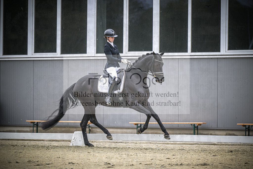DOS_0739 | Entdecke hochwertige Reitturnierfotos von Foto Oger. Professionell, emotional und authentisch – jetzt Lieblingsmomente im Shop bestellen.Deutschlandweite Turnierfotografie. - Realisiert mit Pictrs.com