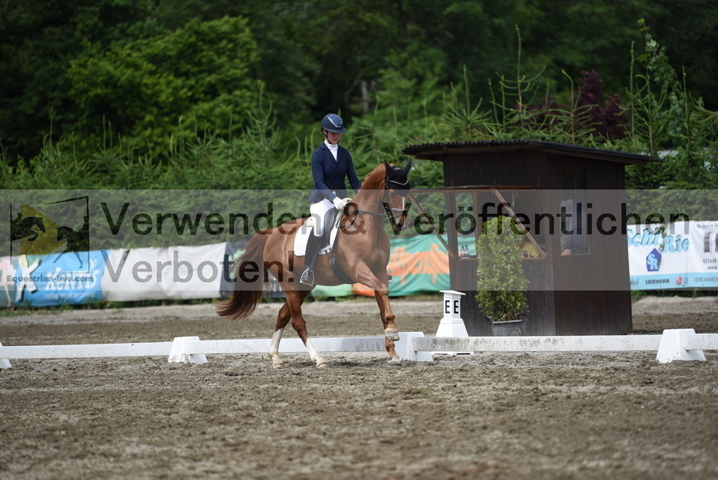 DSC_0989 | equestrian-live-com