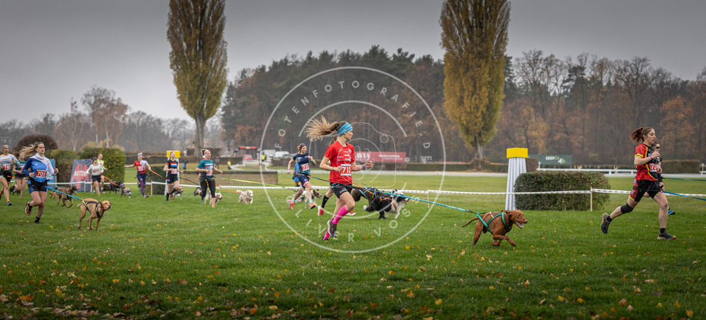 CaniXpix_DV3A8830 | Hundefotografie, Tierfotograf, Pfotenfotografie, Fotoshooting Hund, Hunde Portrait, Hundesport, Hundeportraits, Heideshooting, Hunde, Sportfotograf, Hundefotograf, Turnierhundsport, THS,  - Realisiert mit Pictrs.com