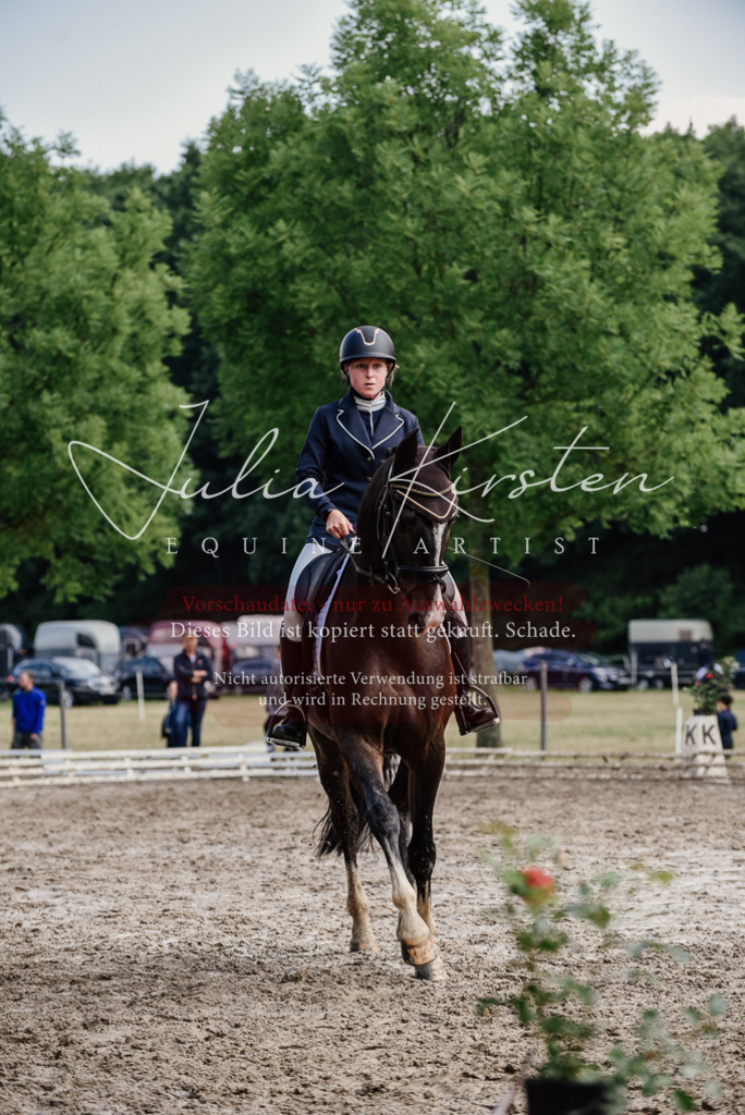 DSC_0100 | Pferde- und Turnierfotografie in Westsachsen. Pferdeportraits, Auftragszeichnungen und intuitive Kunst.