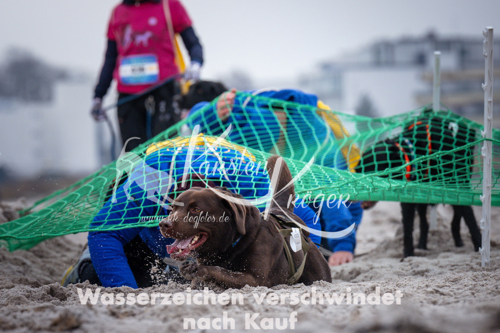 1216_ZZ93119 | kk-dogfotos