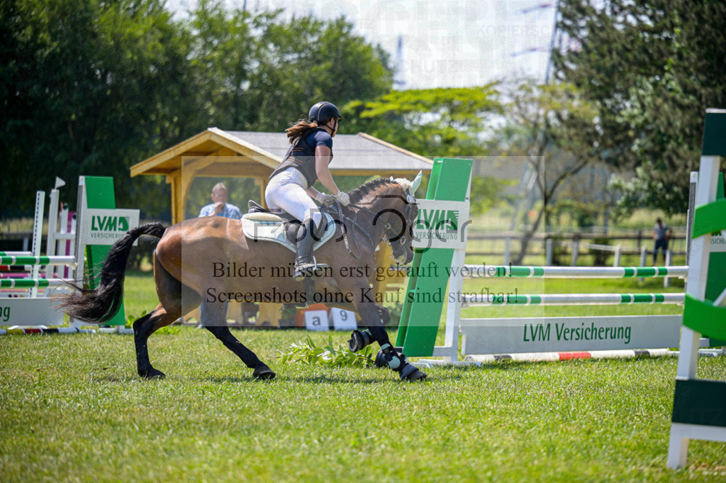 Reitturnier Voxtrup | Entdecke hochwertige Reitturnierfotos von Foto Oger. Professionell, emotional und authentisch – jetzt Lieblingsmomente im Shop bestellen. - Realisiert mit Pictrs.com