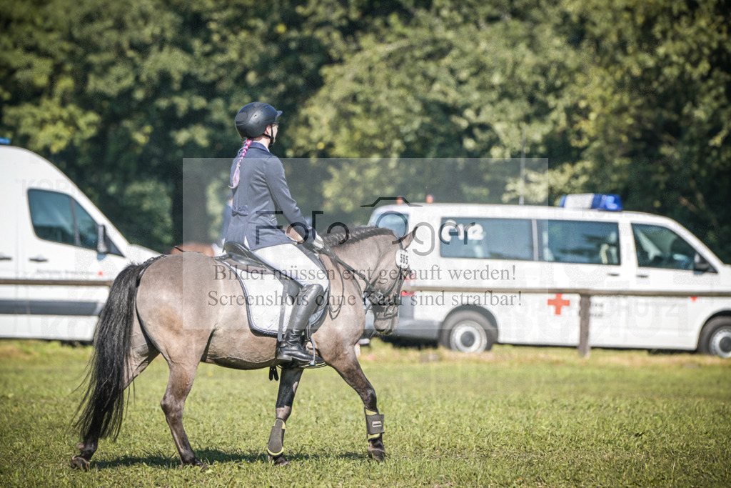 DOS_0113 | Entdecke hochwertige Reitturnierfotos von Foto Oger. Professionell, emotional und authentisch – jetzt Lieblingsmomente im Shop bestellen.Deutschlandweite Turnierfotografie. - Realisiert mit Pictrs.com