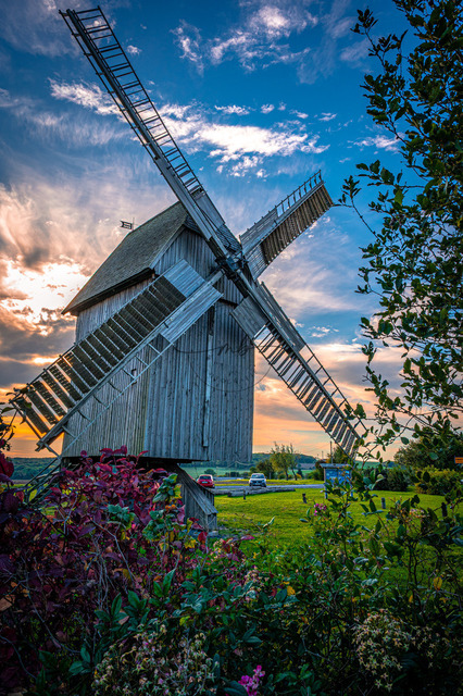 Bockwindmühle mit Blumen im Vordergrund | Bockwindmühle aus Holz mit Blumen im Vordergrund, unter blauem Himmel,  Wolken und farbenfroher Morgenhimmel