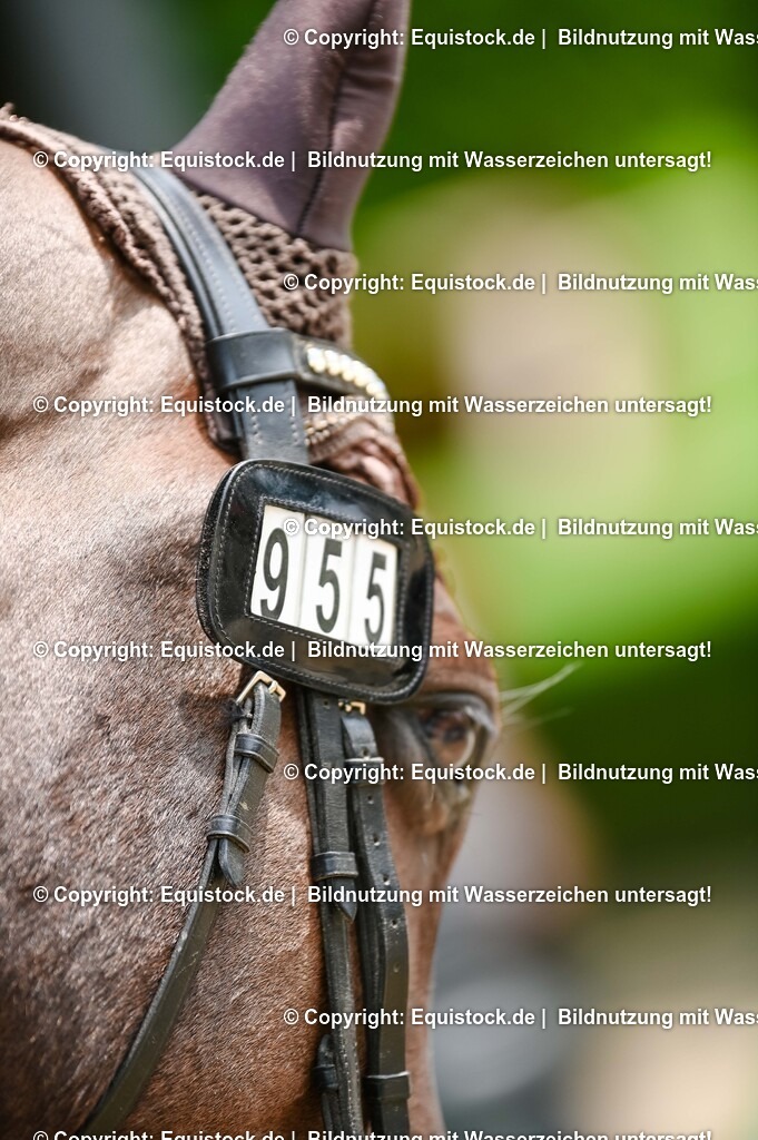 20250608_CVI-Masterclass_0017 | Foto: Thomas Hartig