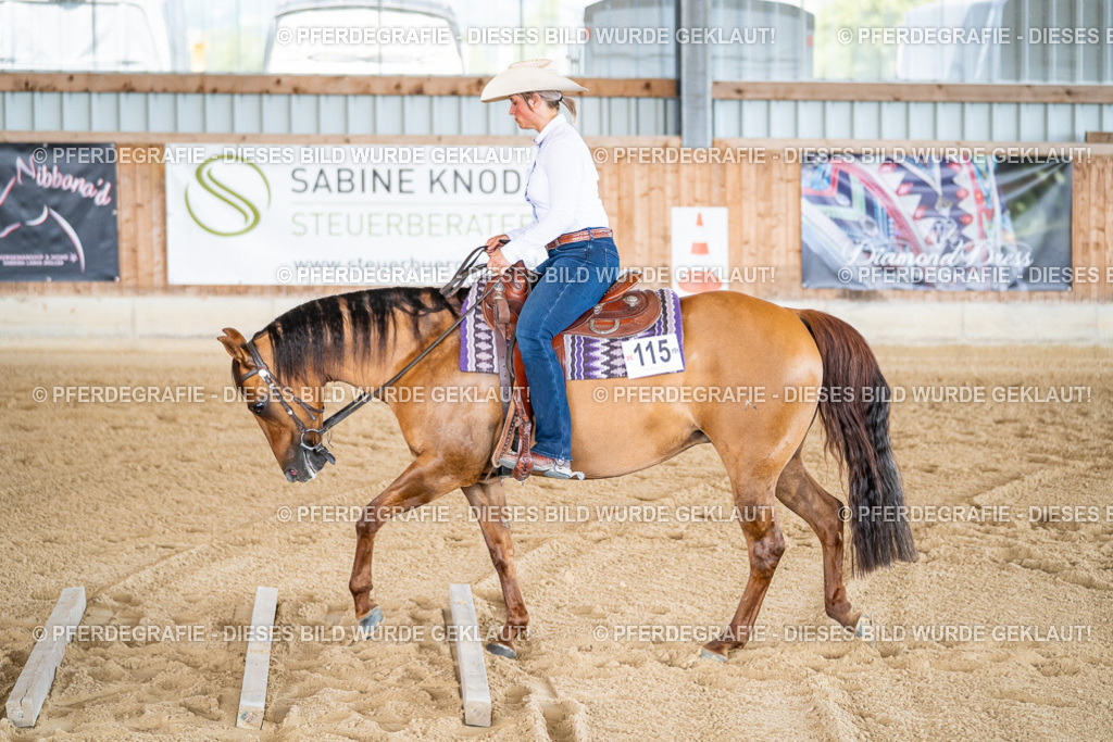 DSC02546 | Pferdegrafie