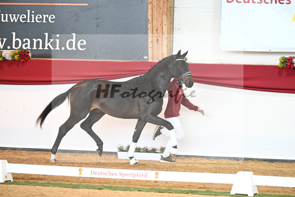 Kat-Nr. 44 Quaterback x Desperados_Ullmann_43230458 | hf-fotografie - Realisiert mit Pictrs.com