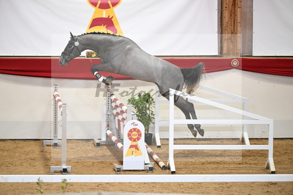 Kat.-Nr. 31 v. James Blue_Schadock_2251205 | hf-fotografie - Realizzato con Pictrs.com