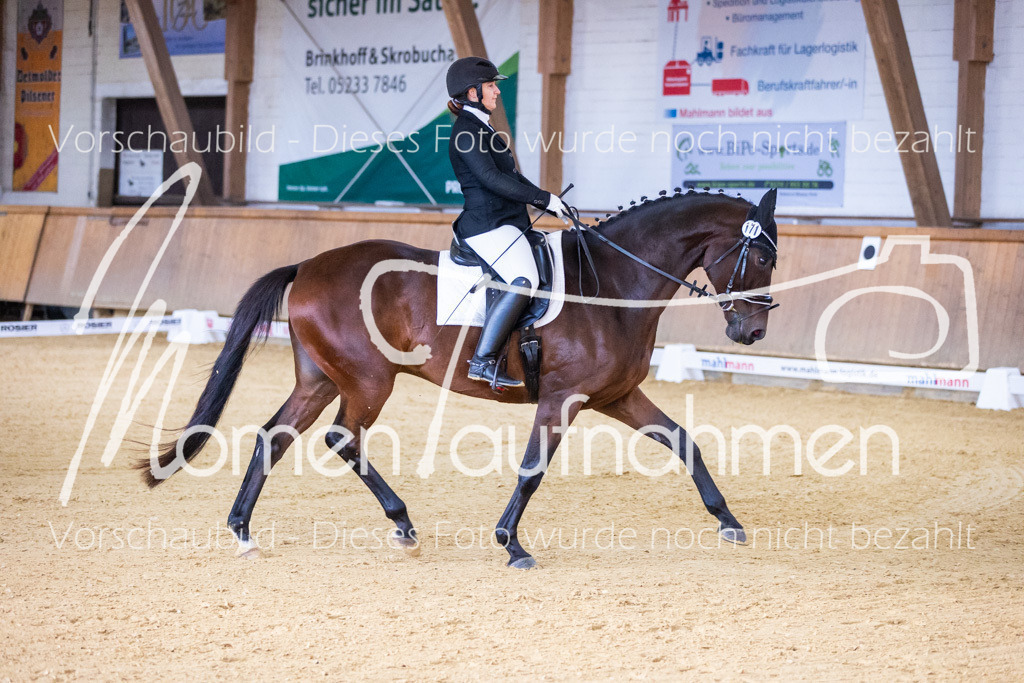 Sth-A-Dre-1St-049 | MomenTaufnahmen Pferdesportfotos