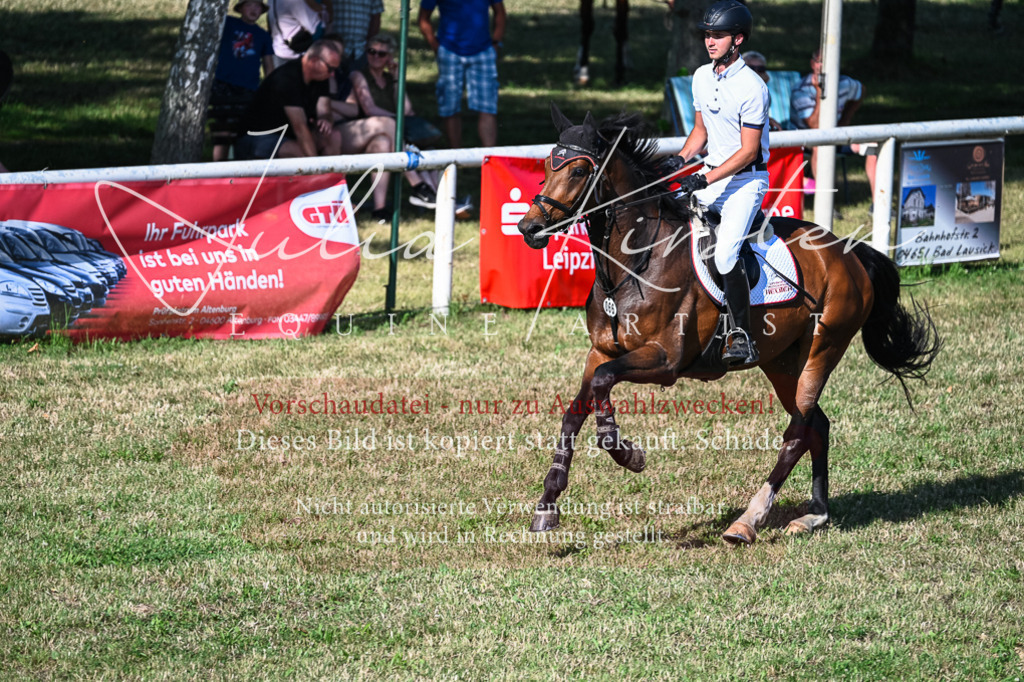 DSC_2530 | Pferde- und Turnierfotografie in Westsachsen. Pferdeportraits, Auftragszeichnungen und intuitive Kunst.