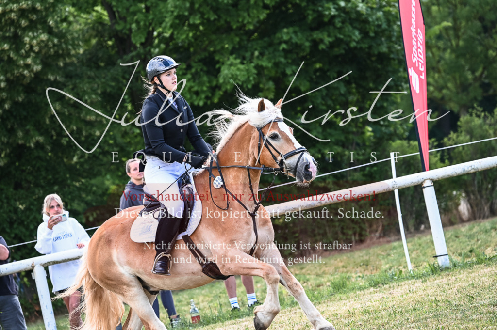 DSC_8102 | Pferde- und Turnierfotografie in Westsachsen. Pferdeportraits, Auftragszeichnungen und intuitive Kunst.