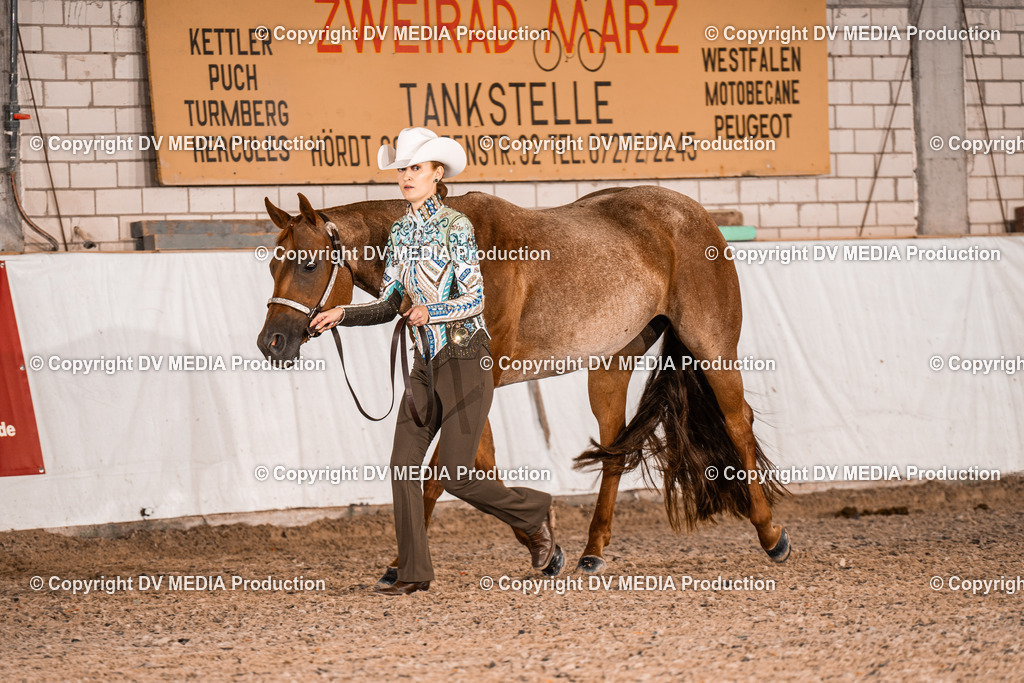 ZH100015 | dv-media-shop - Realisiert mit Pictrs.com