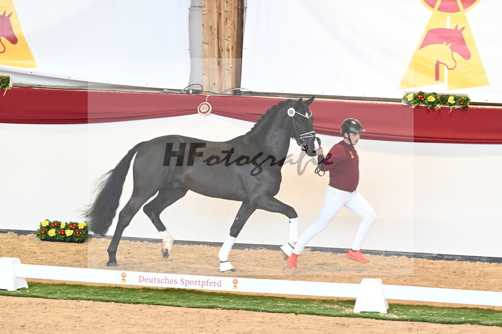 Kat.-Nr. 66 v. Taurus_Beckmann_2240864 | hf-fotografie - Realisiert mit Pictrs.com