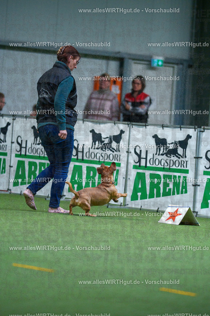 7R501945 | Professionelle Tierfotografie in Mönchengladbach von Daniel Wirth (allesWIRTHgut). Liebevolle & natürliche Bilder von Hunden & Katzen für unvergessliche Erinnerungen.