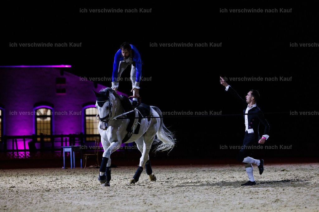 FHClassics-214 | working equitationturnier fotograf videograf stoibphotography marixx film working equitation deutschland reitsport turnierfotografie eventfotografie equestrian events