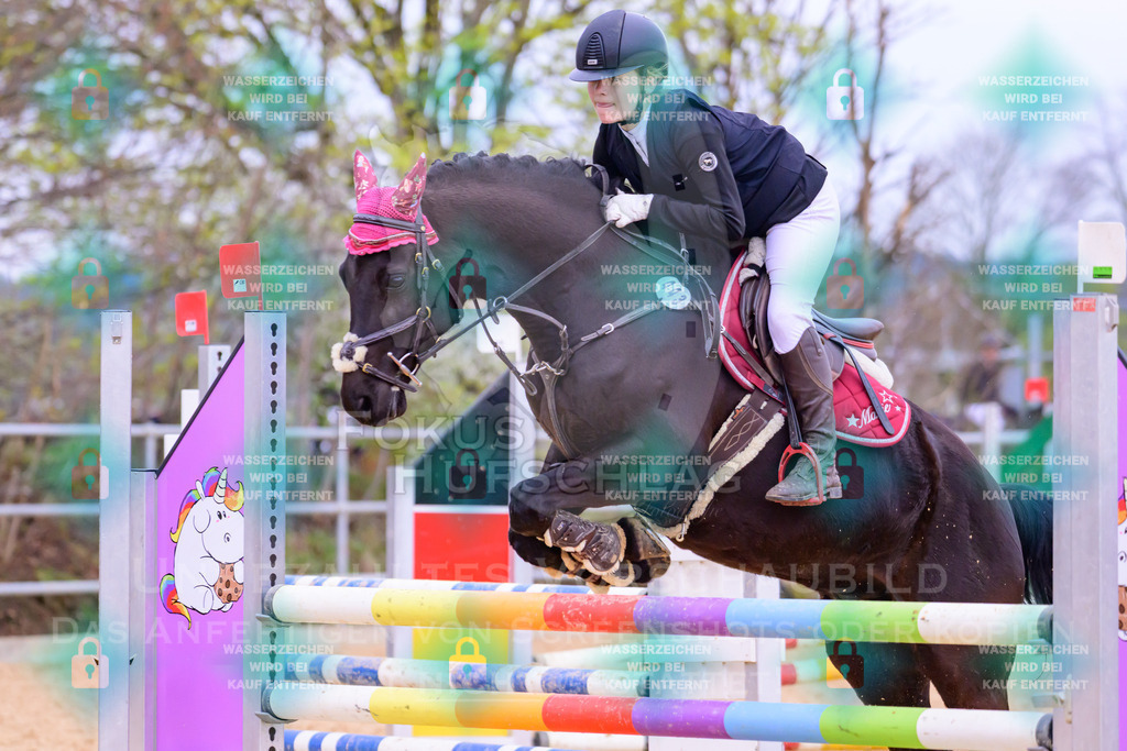 10042026-Mammendorf-Prfg17-0908 | Fokus Hufschlag Fotografie - Realisiert mit Pictrs.com