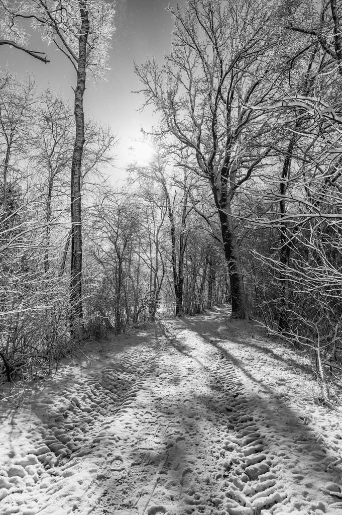 2023_03_11_MCP7224 sw | Hochwertig gedruckte Fotografien für die Wand, als Kalender und zum Verschenken. Hamburg & Norddeutschland und überall wo ich mit der Kamera unterwegs war.