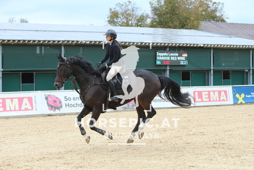 DL2Q7011 | Willkommen bei Brunnmayr - Design & Fotografie – Ihrem Spezialisten für Reitturniere und Pferdeveranstaltungen in Oberösterreich, Salzburg und Bayern! Seit über 17 Jahren sind wir leidenschaftlich dabei.