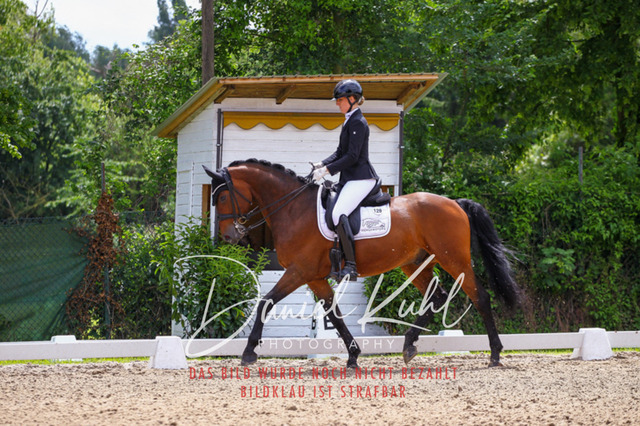 DKP41072 | Turnierfotos kaufen im Webshop von Daniel Kuhl Photography – entdecke professionelle Reitsportfotos aus Turnieren & Events. Hochwertige Turnierbilder online bestellen & sichern. Jetzt Fotos von Reitsportturnieren kaufen!