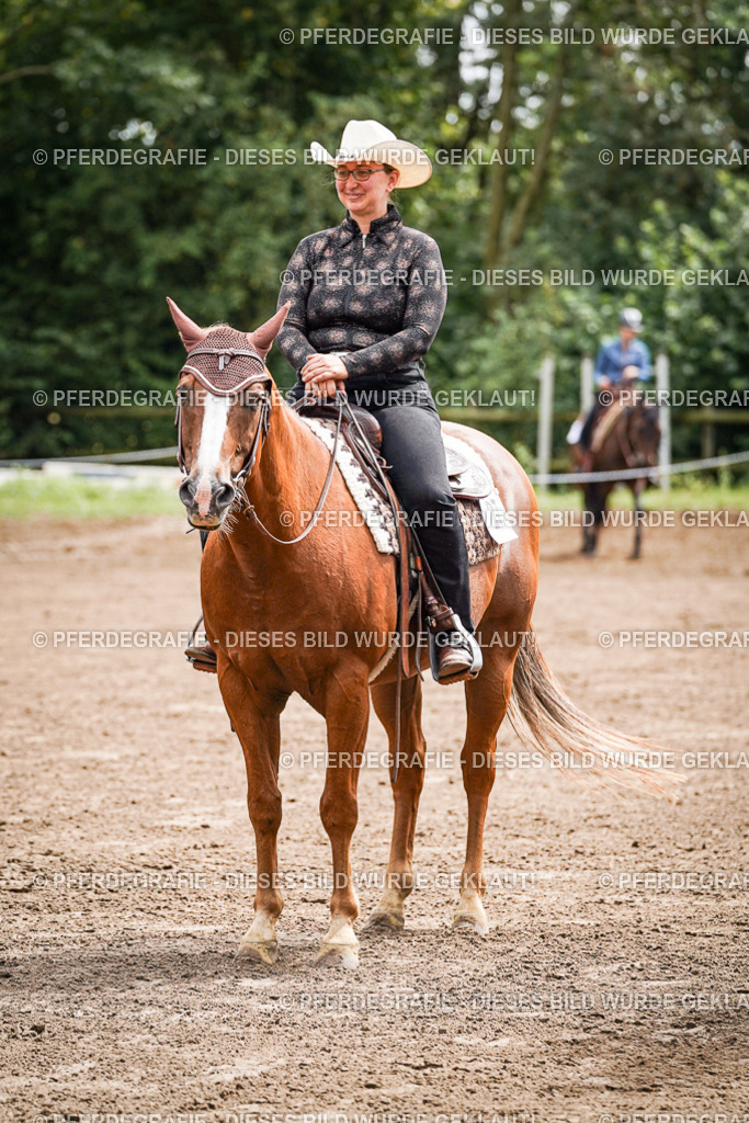 DSC05798 | Pferdegrafie