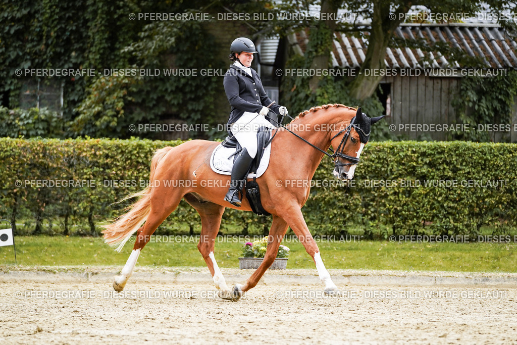 DSC00982 | Pferdegrafie