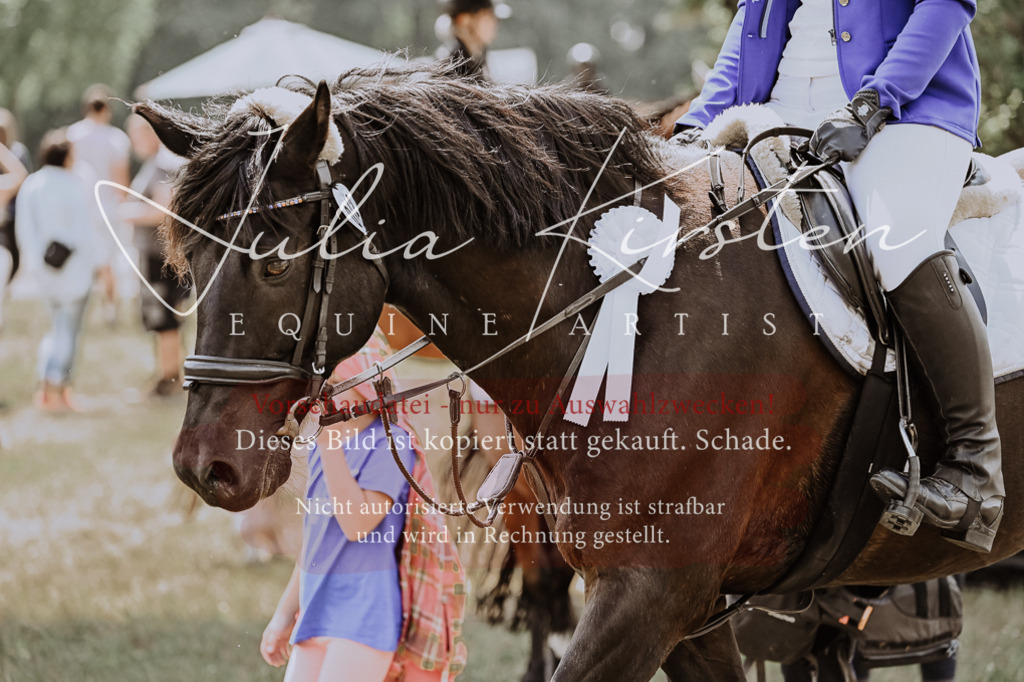 DSC_9553 | Pferde- und Turnierfotografie in Westsachsen. Pferdeportraits, Auftragszeichnungen und intuitive Kunst.