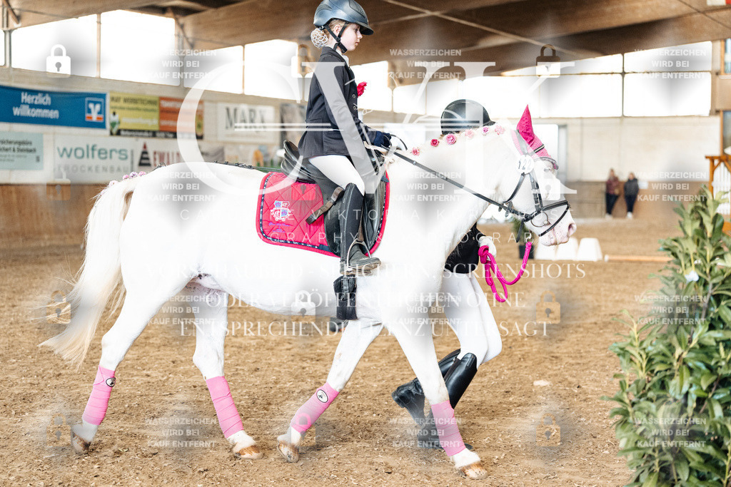 CK906014 | Turnierfotografie Pferdefotografie Trier Rheinland-Pfalz Pferdesport Reitsport Tierfotografie Sportfotografie Pferdevideo Pferdevideografie Equestrianvideography equestrianphotography  - Realisiert mit Pictrs.com