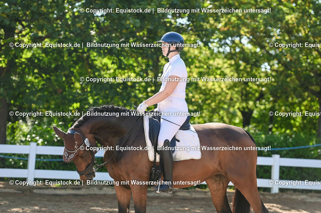 20230715_06_Dressurpferdeprfg. Kl.A_0270 | equistock