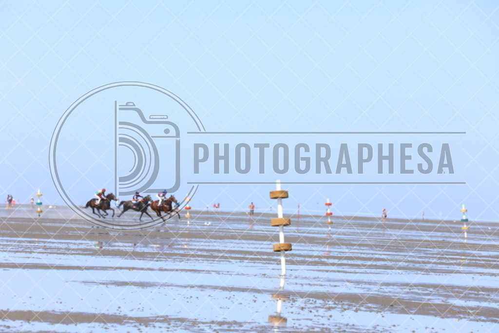 IMG_8887 | photographesa-joergens - Realisiert mit Pictrs.com