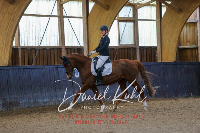 IMG_0296 | Deine Turnierfotos vom Reitturnier online kaufen: Dressur, Springen & Siegerehrung. Professionelle Pferdefotografie aus dem Rheinland – als Download & Print.Alternative: Turnierfotograf für den Pferdesport: Finde deine Fotos von Dressur- und Springturnier