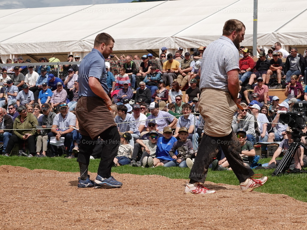 DSC07186 | Schwingen - Realisiert mit Pictrs.com