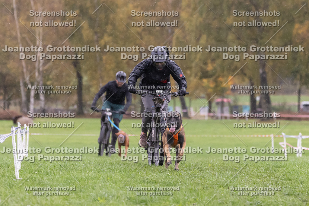 Dog Paparazzi - SD CaniX Championship 2025-947 | Dog Paparazzi Jeanette Grottendiek Fotografie & Videografie - Realisiert mit Pictrs.com