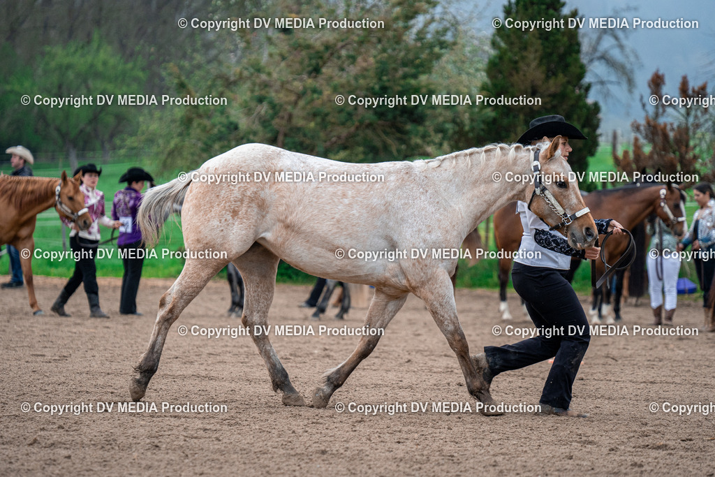 BA300068 | dv-media-shop - Realisiert mit Pictrs.com