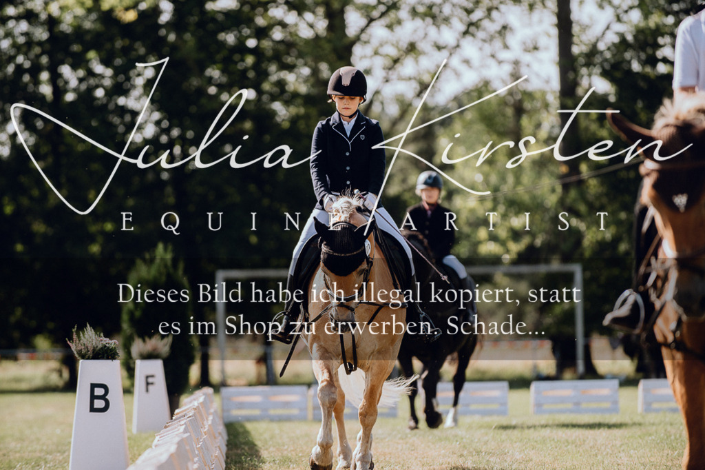 DSC_6889 | Pferde- und Turnierfotografie in Westsachsen. Pferdeportraits, Auftragszeichnungen und intuitive Kunst.