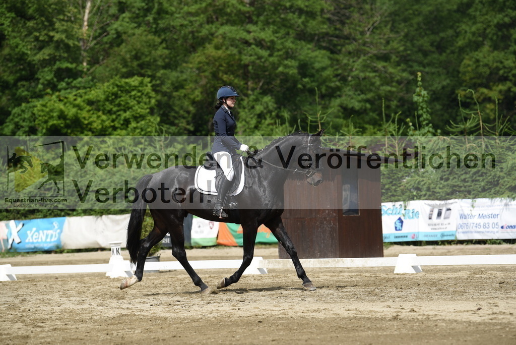 DSC_8408 | equestrian-live-com