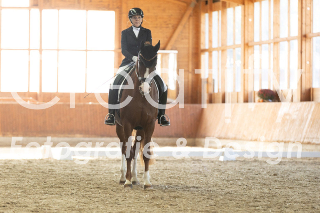 IMG_3525 | Creatify Fotografie