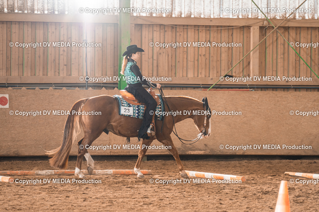 BA300366 | dv-media-shop - Realisiert mit Pictrs.com