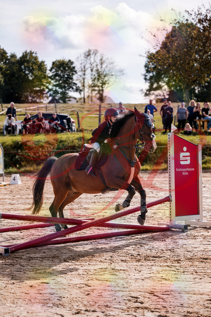 2026_10_03_Siefer-Hof_143754_Z81_06962773 | Professionelle Reitsport-, Turnier- und Eventfotografie von Robert Broda. Galerien mit ausgewählten und bearbeiteten Bildern direkt online ansehen und bestellen.